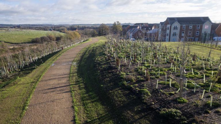Taylor Wimpey plants 23,000 trees and shrubs at Newton Leys to boost biodiversity