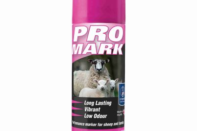 Nettex_Promark_400ml_PINK_Mock_020926_1500pix.jpg