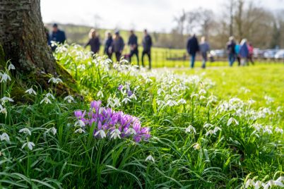 Newton-Park-flowers-and-people.jpg